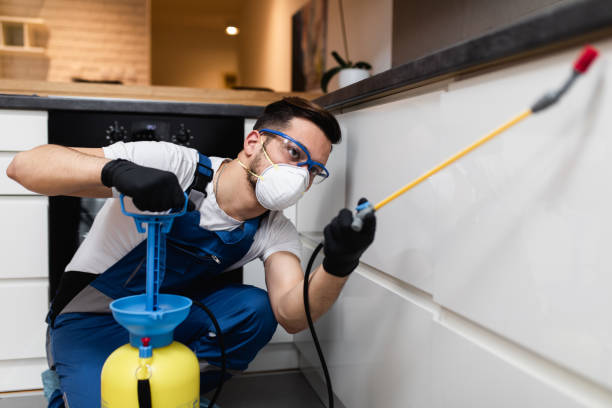 Best Best Pest Control Companies  in Gulf Park Estates, MS