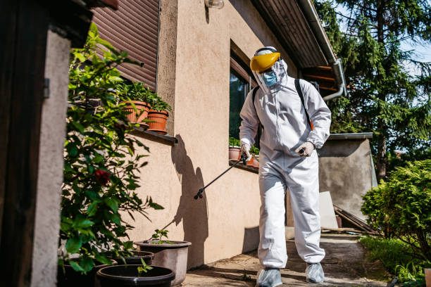 Best Affordable Pest Control Services  in Gulf Park Estates, MS