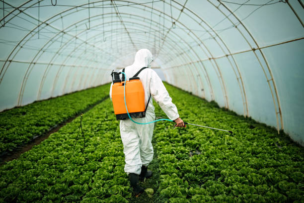 Trusted Gulf Park Estates, MS Pest Control Experts